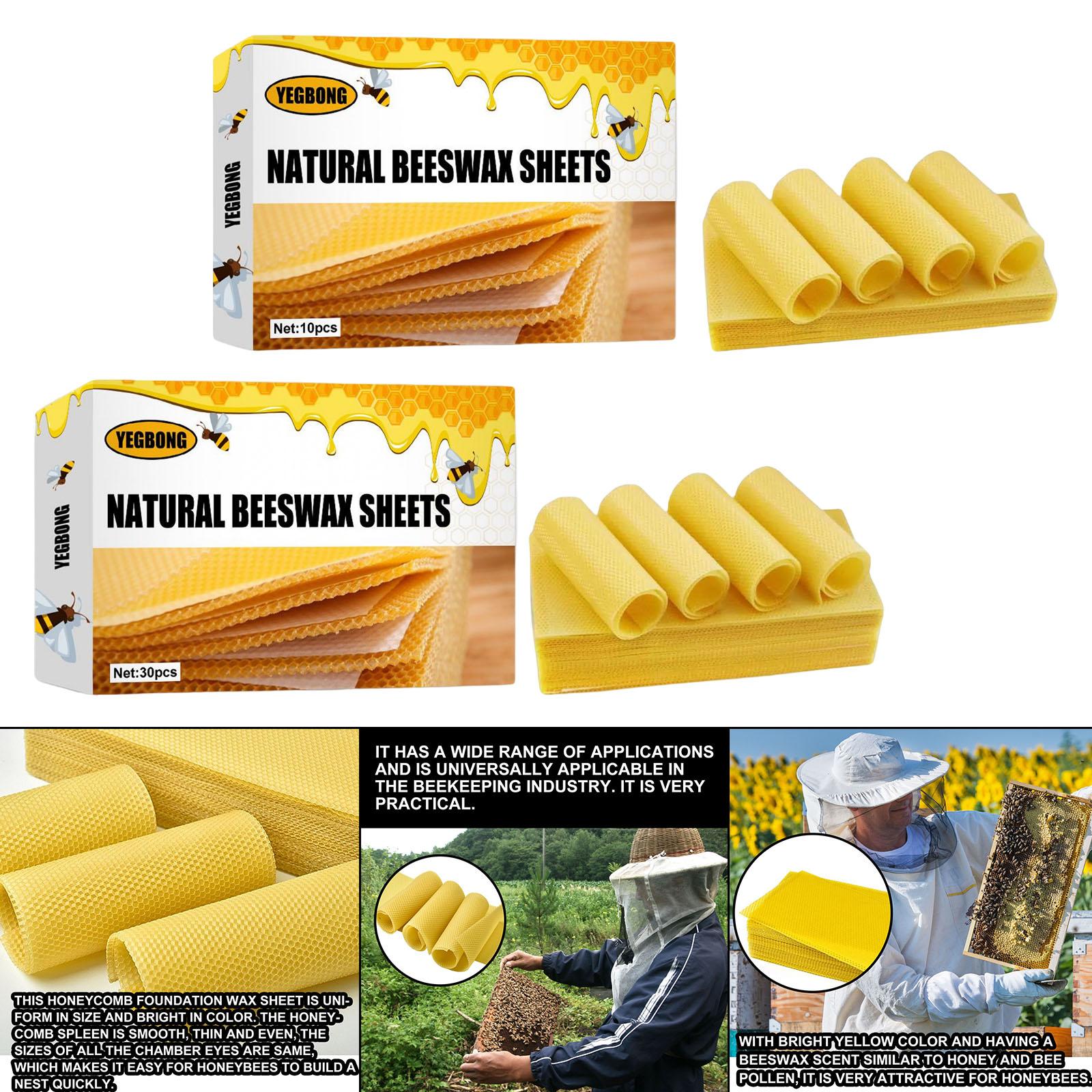 Beeswax Sheets, Beekeeping Fou - Candle Making Kit ulasan dan harga